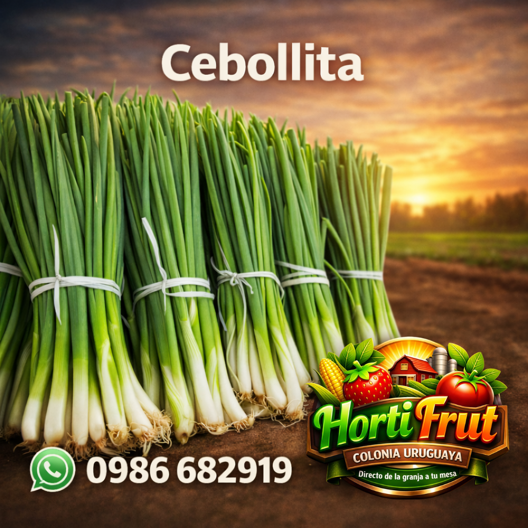 Cebollita fresca – Sabor suave y natural 🌿✨