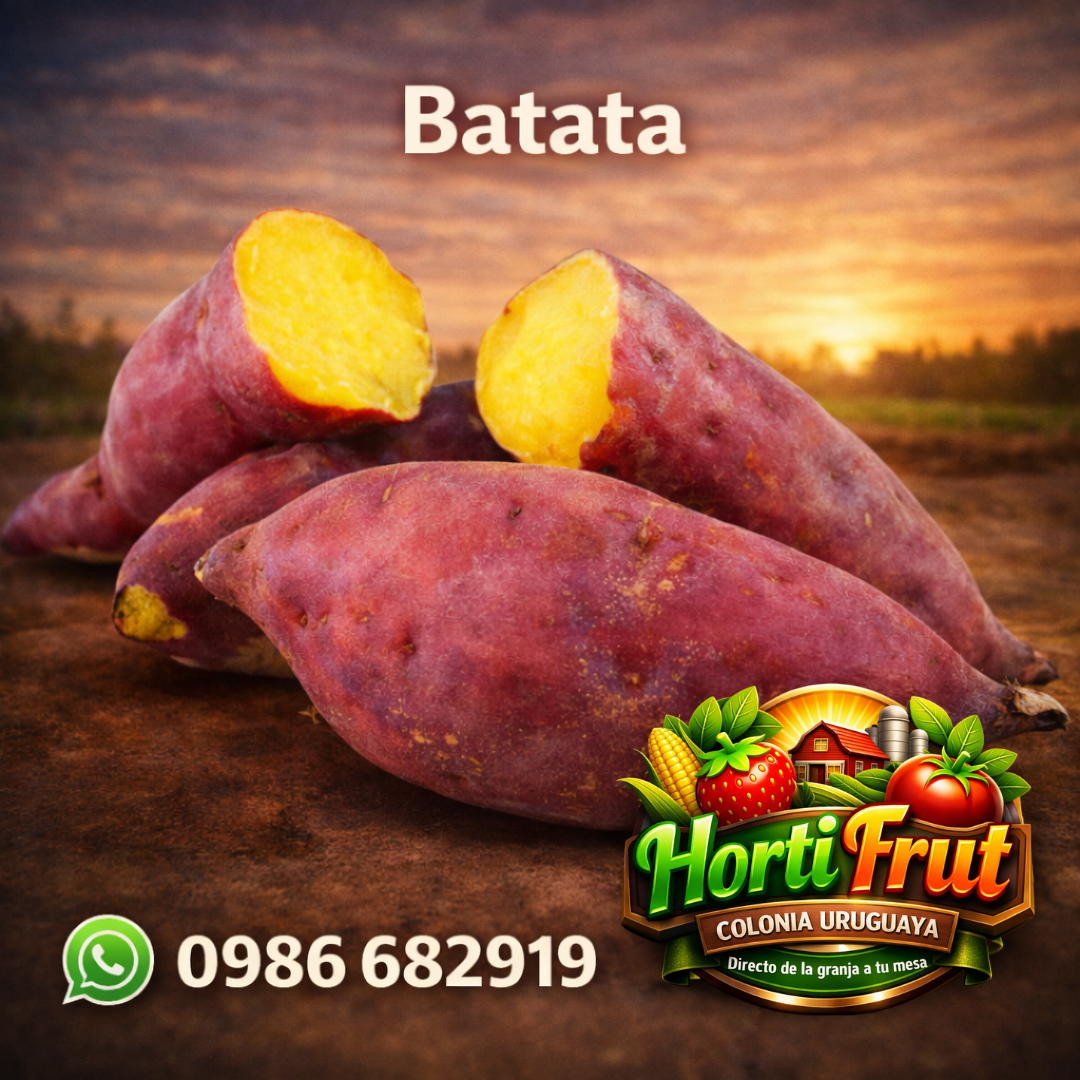 Batata fresca y natural – Sabor tradicional 🍠✨