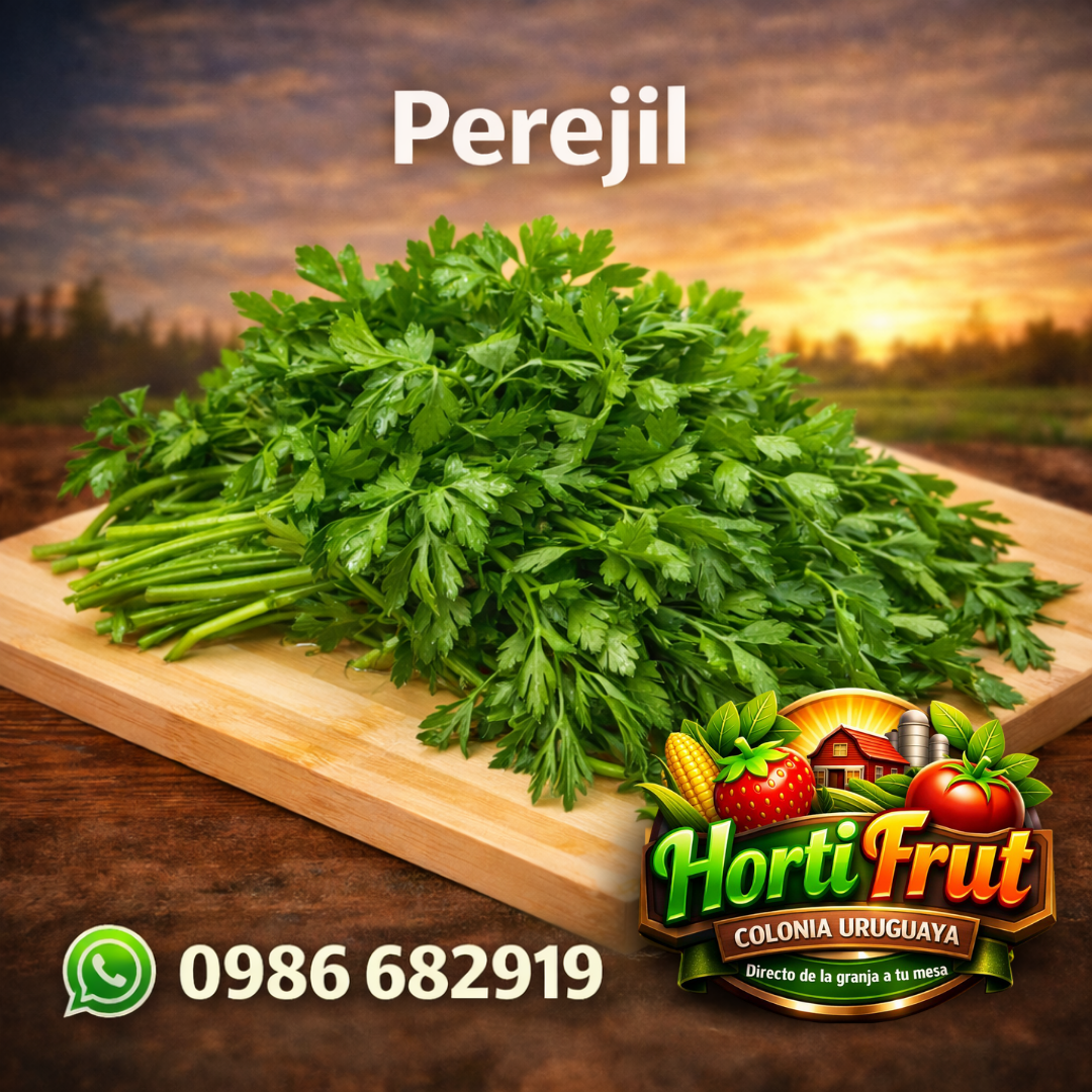 Perejil fresco – Aroma y sabor natural 🌿✨