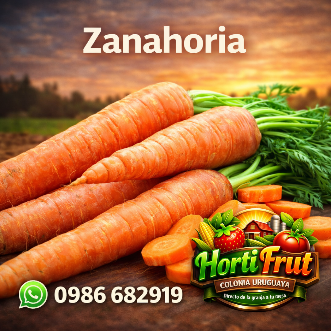 Zanahoria fresca – Dulce, crocante y natural 🥕✨