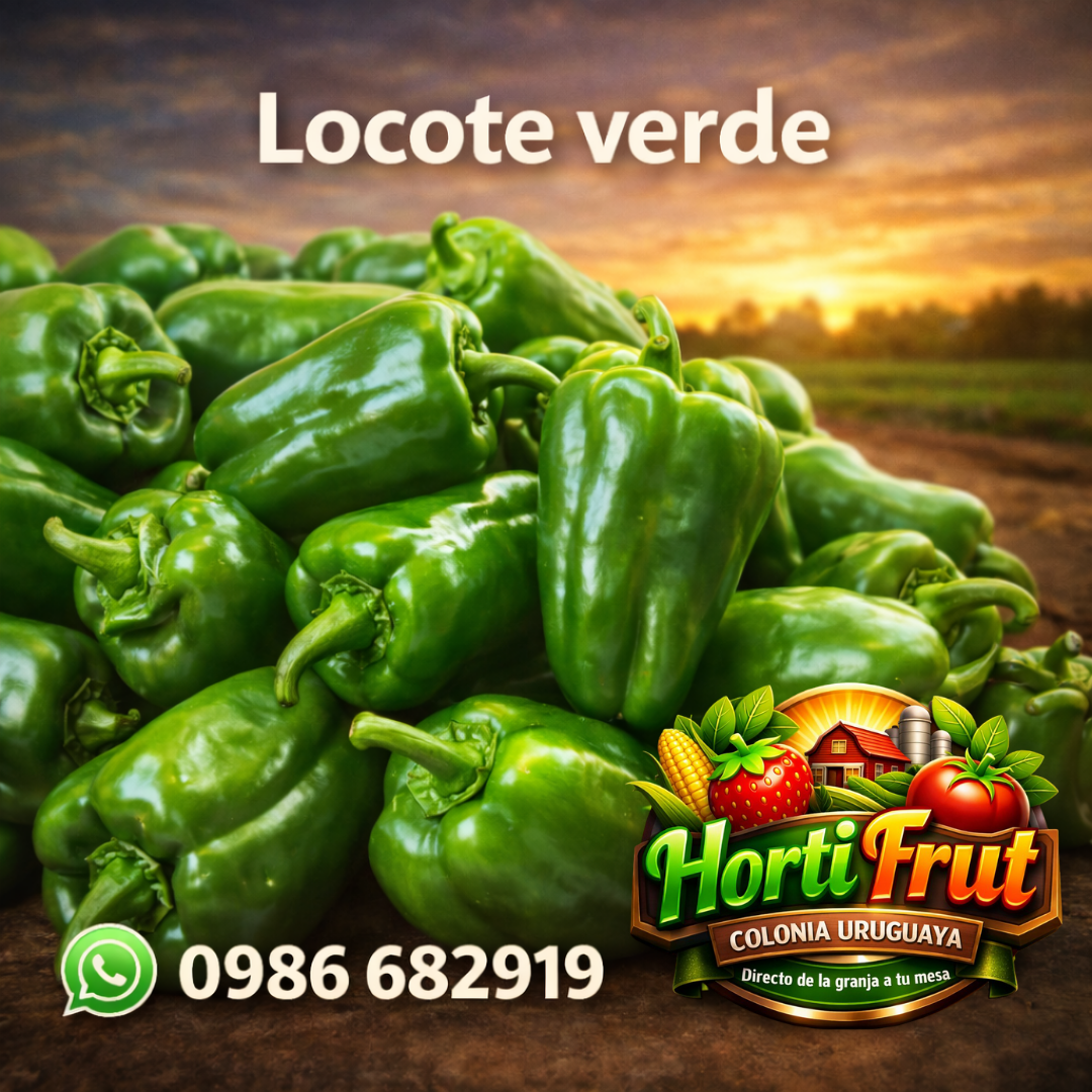 Locote verde fresco – Sabor intenso y natural 🫑✨