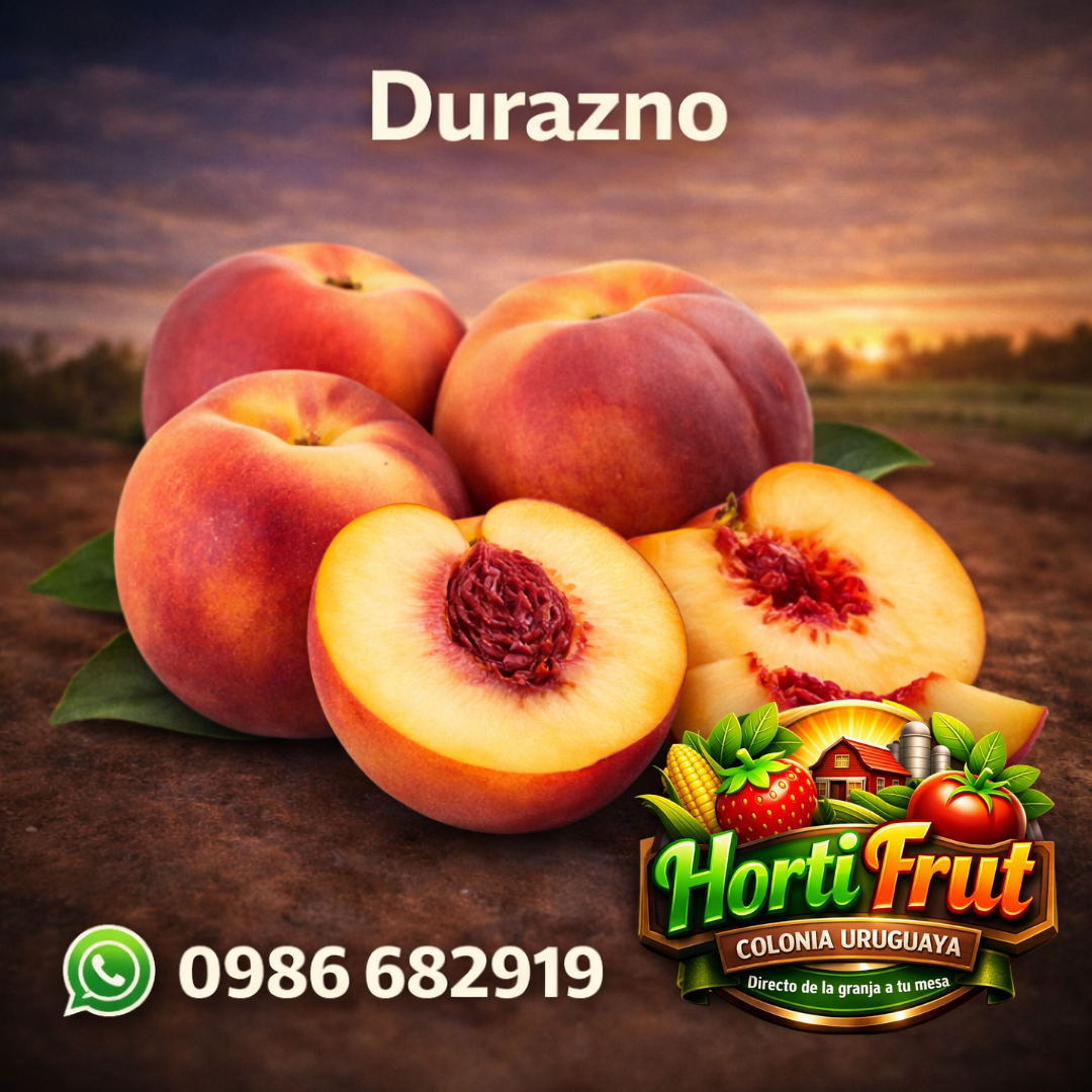 Durazno fresco y jugoso – Dulzura natural 🍑✨