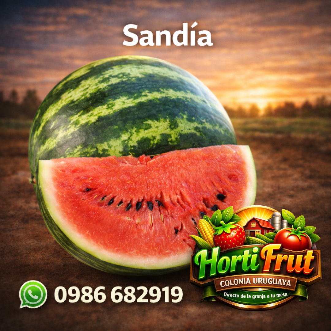 Sandía fresca y jugosa – Directo de la granja 🍉✨