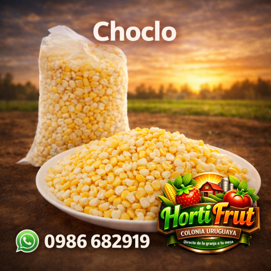 Choclo fresco desgranado – Sabor casero y natural 🌽✨