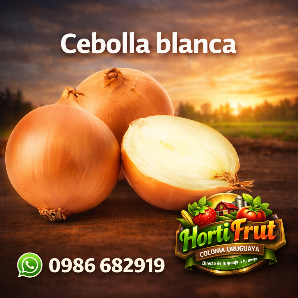 Cebolla blanca fresca – Sabor y rendimiento 🍽️🧅✨