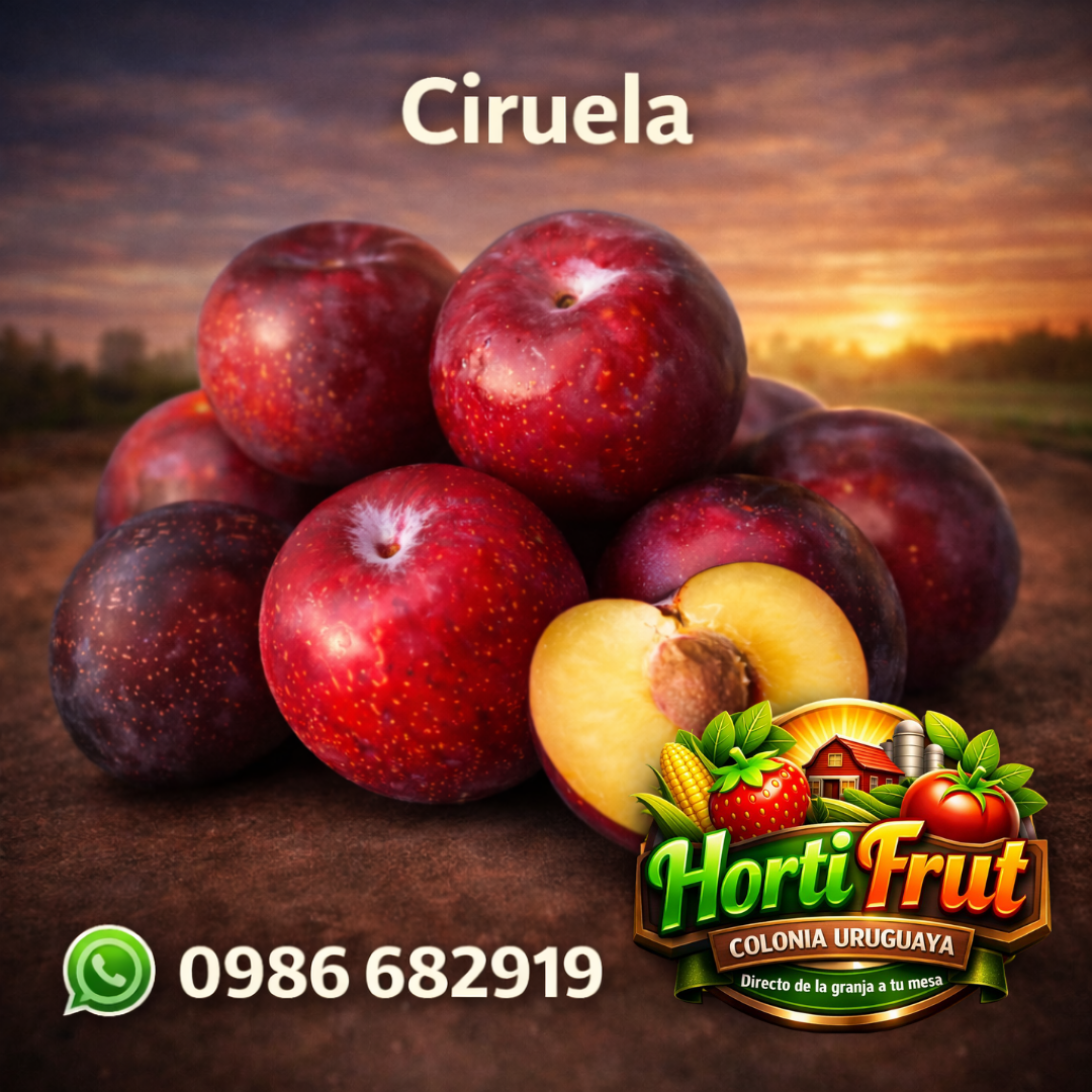 Ciruela fresca y jugosa – Sabor natural 🍑✨