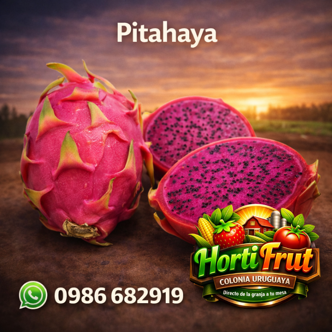 Pitahaya fresca – Exótica, dulce y natural 🐉✨
