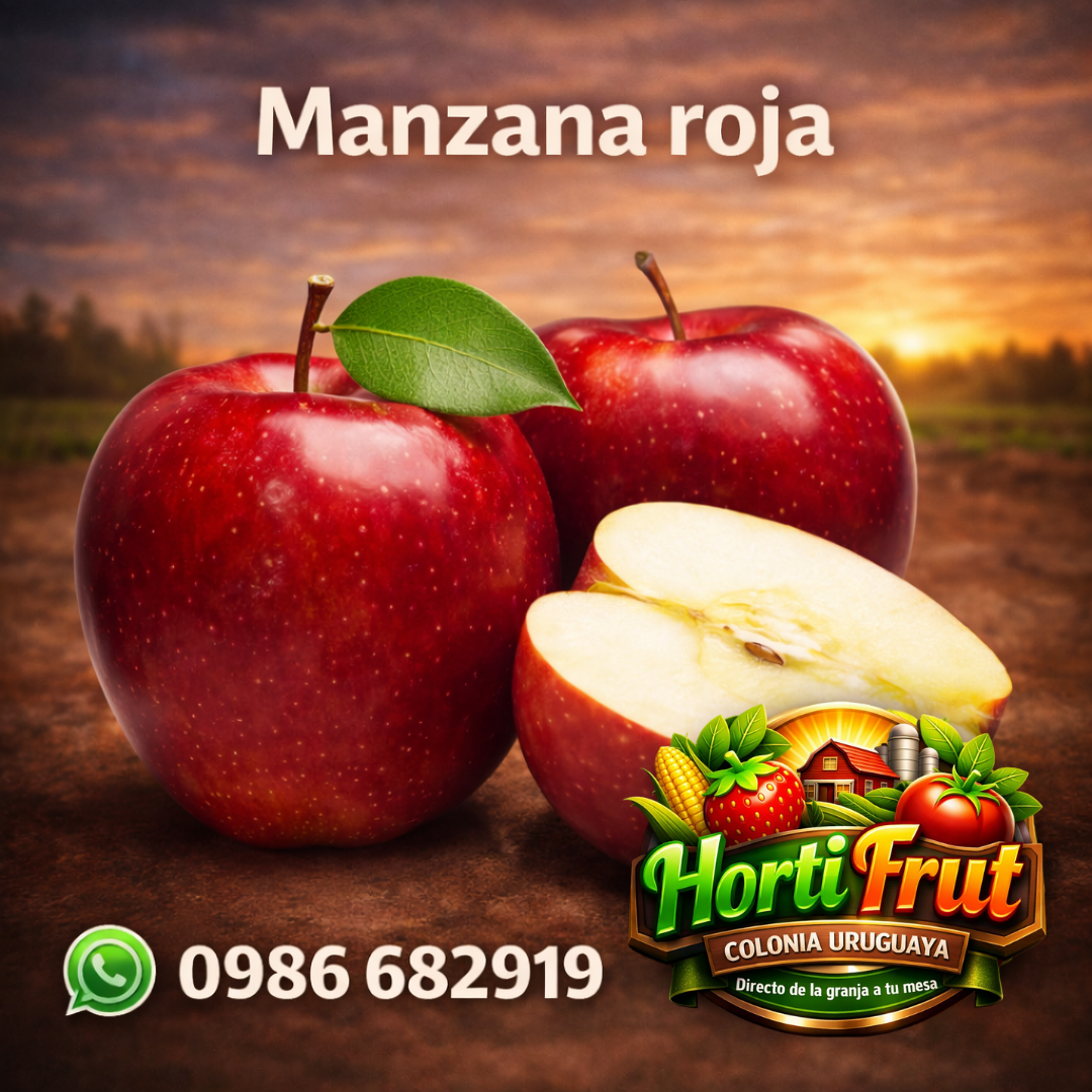 Manzana roja fresca y crujiente – Calidad premium 🍎✨