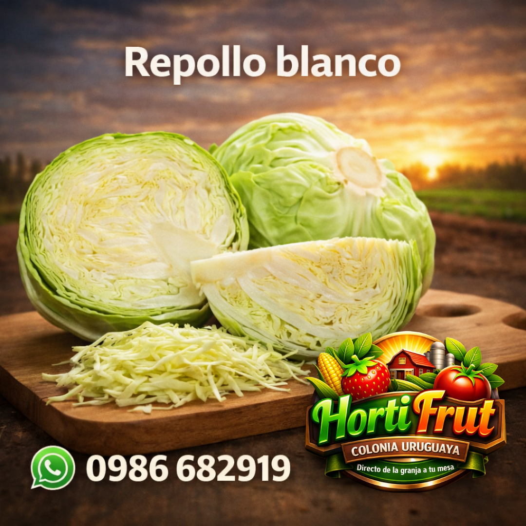 Repollo blanco fresco – Crujiente y natural 🥬✨
