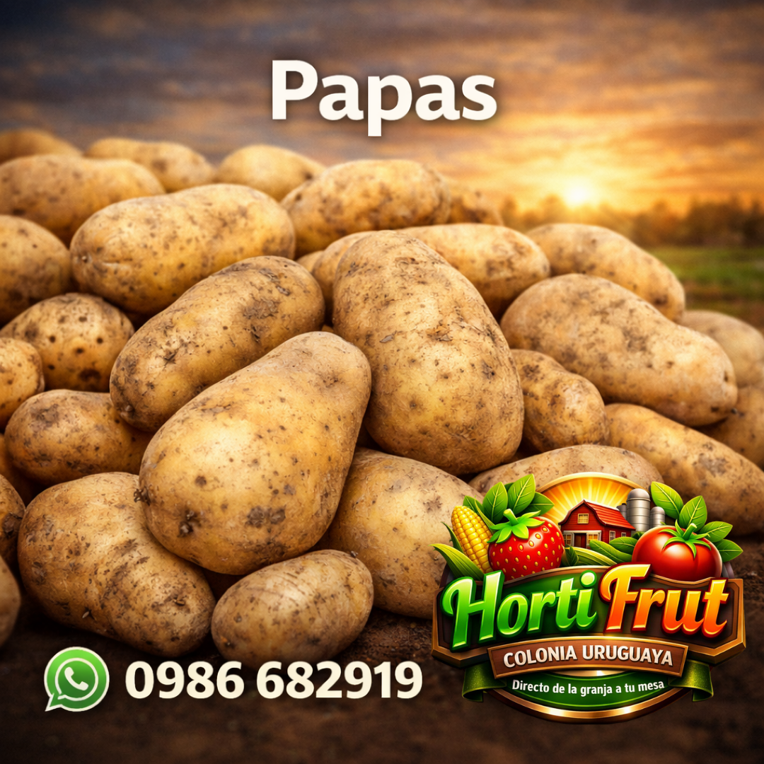 Papas frescas – Calidad y sabor del campo 🥔✨