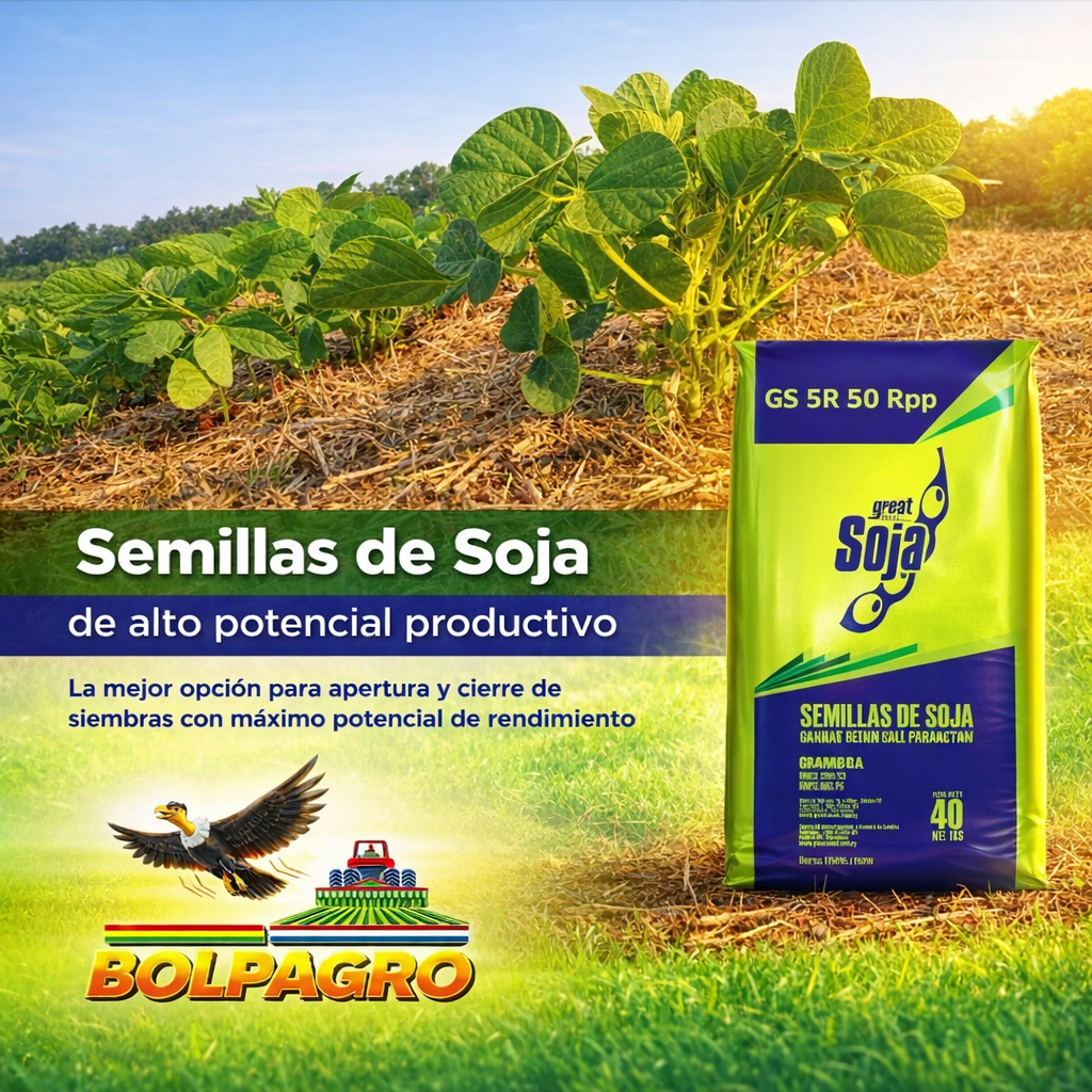 Semillas de Soja de Alto Potencial Productivo