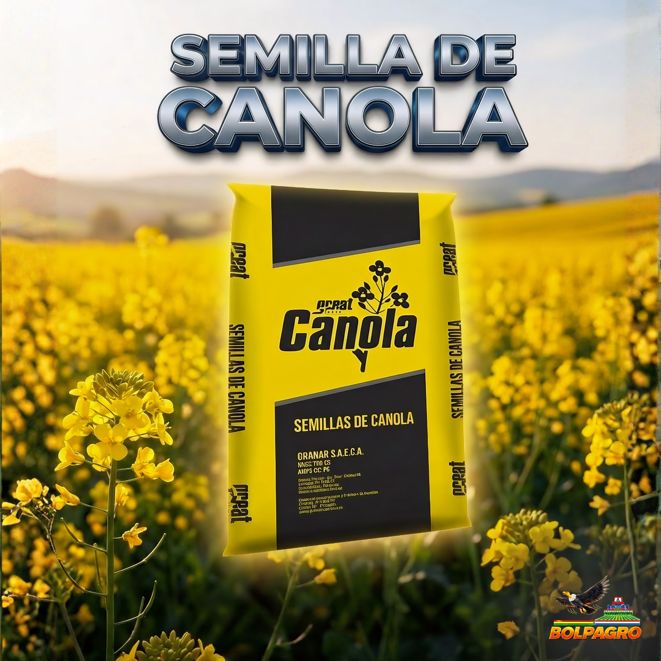 Canola Yellow Sea – Estabilidad y Rendimiento Confiable