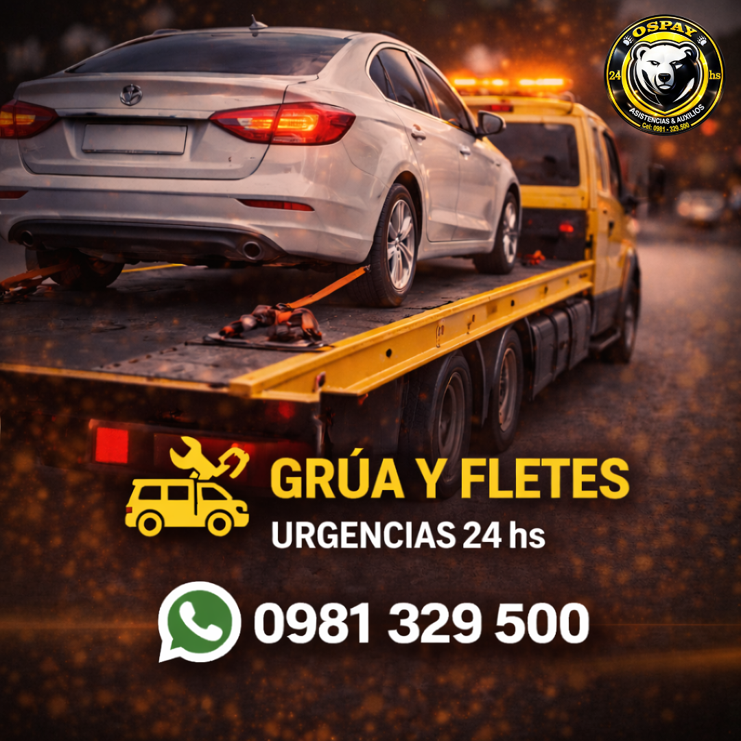 🚛 GRÚA Y FLETES