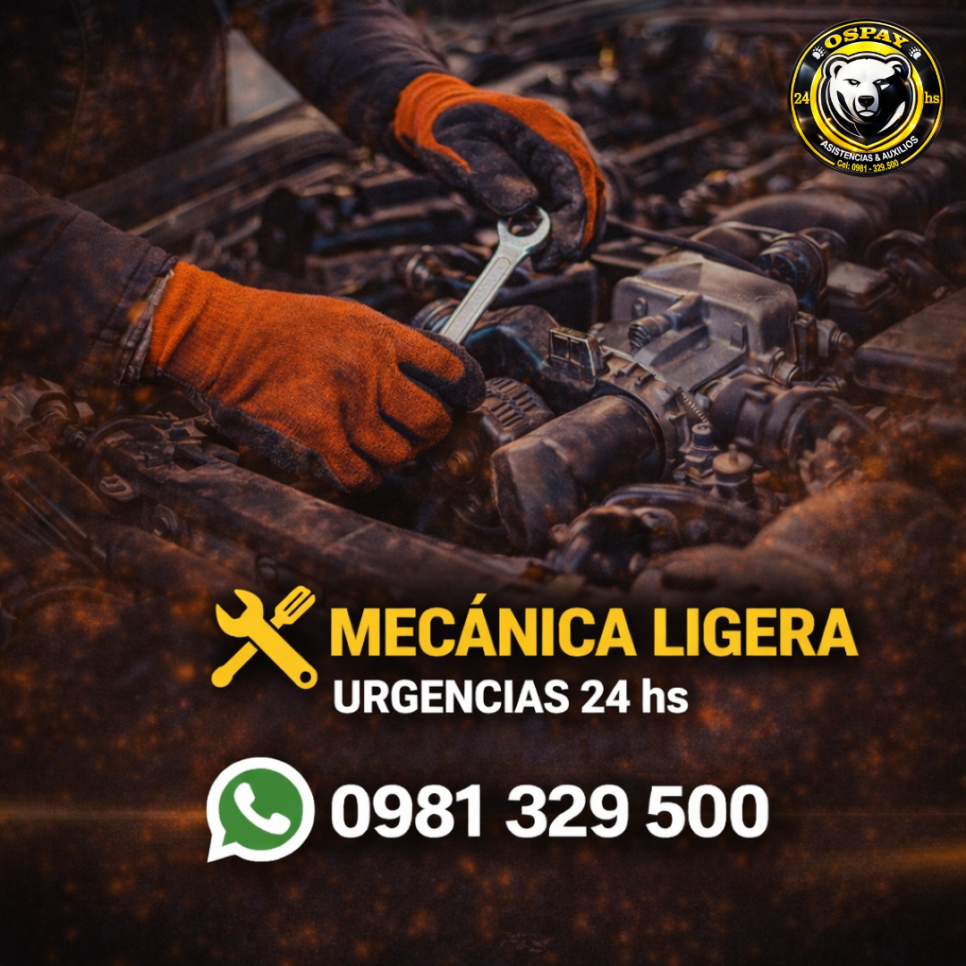 🔧 MECÁNICA LIGERA