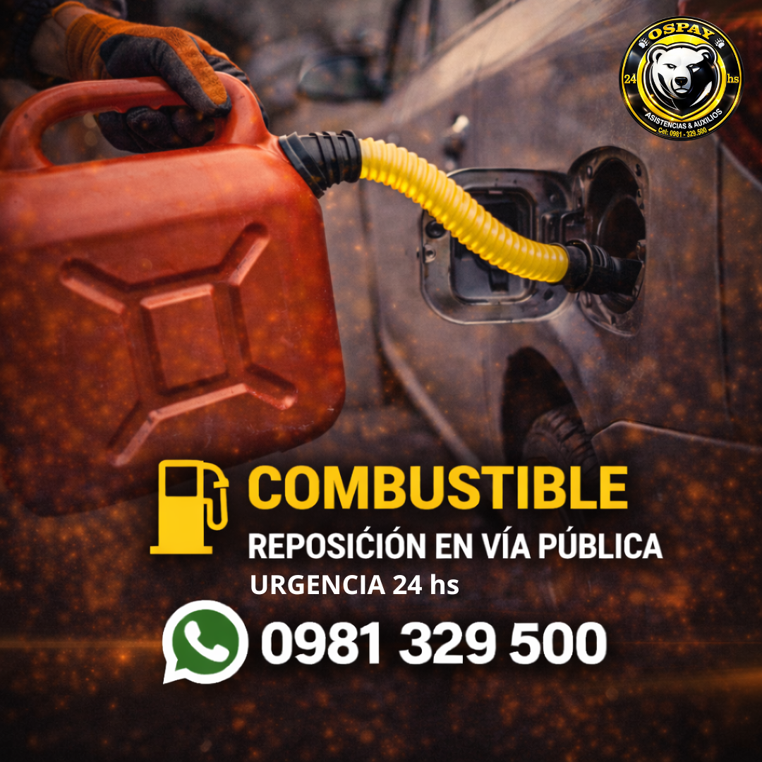 ⛽ COMBUSTIBLE – REPOSICIÓN EN VÍA PÚBLICA