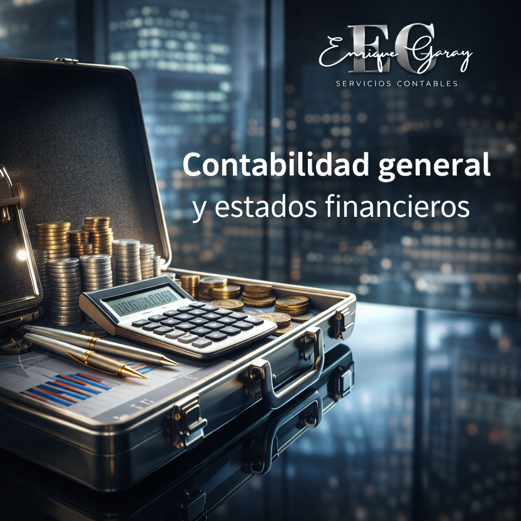 Contabilidad general y estados financieros