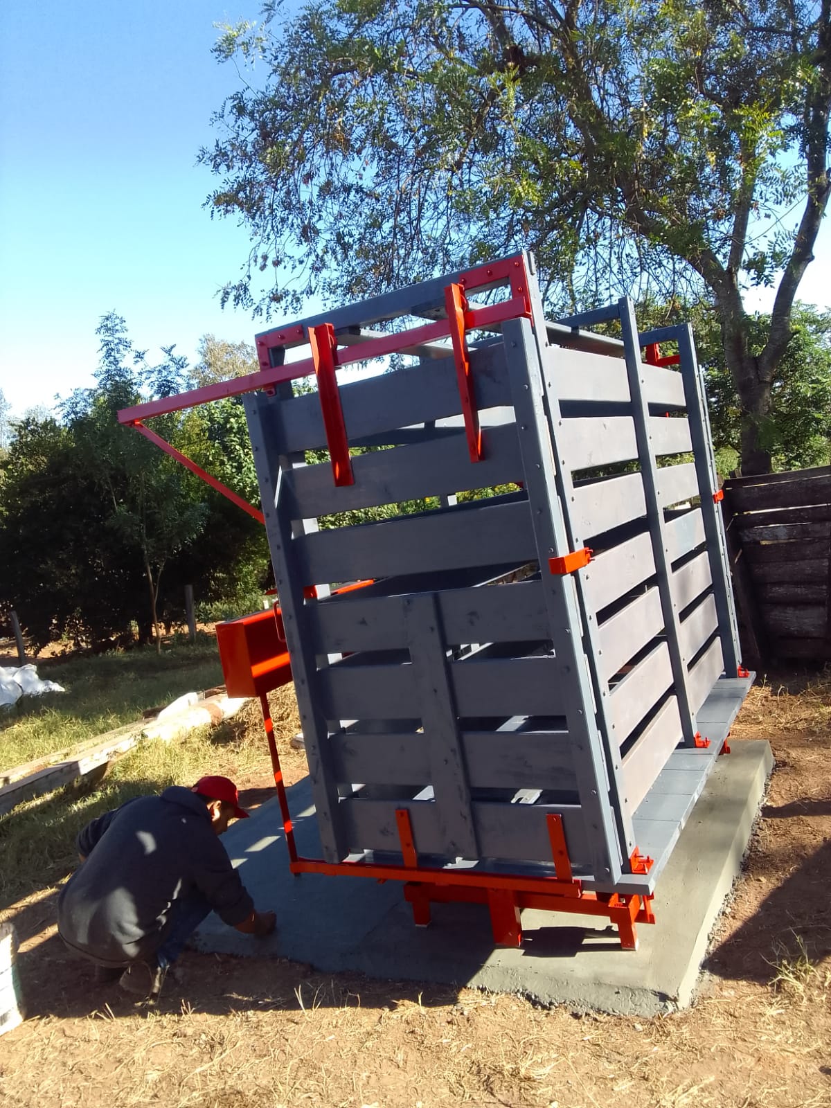 Basculas para pesar ganado