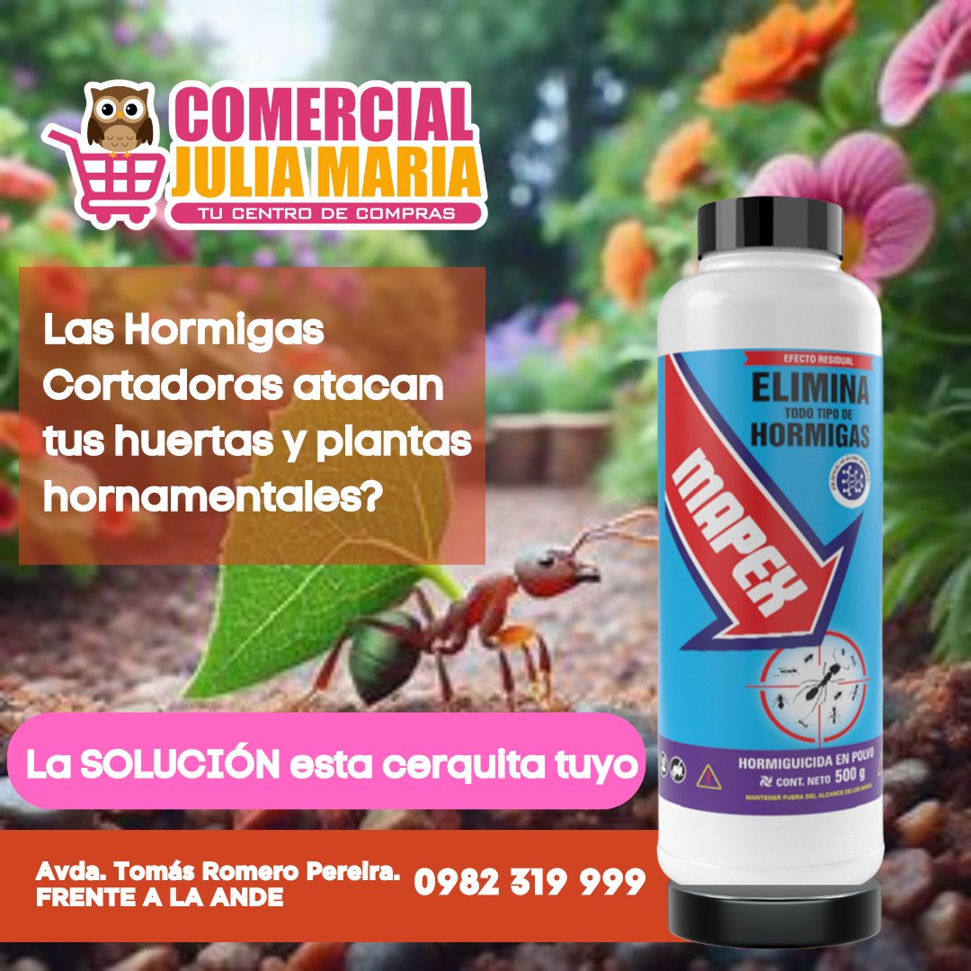 ¡Eliminá las Hormigas de una Vez!
