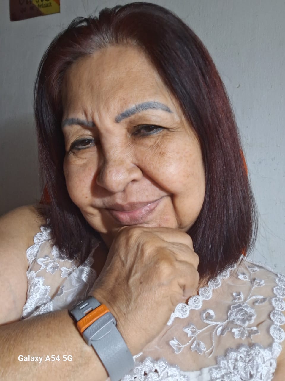Dominga Machado - Distribuidora Autorizada de NipponFlex en Paraguay