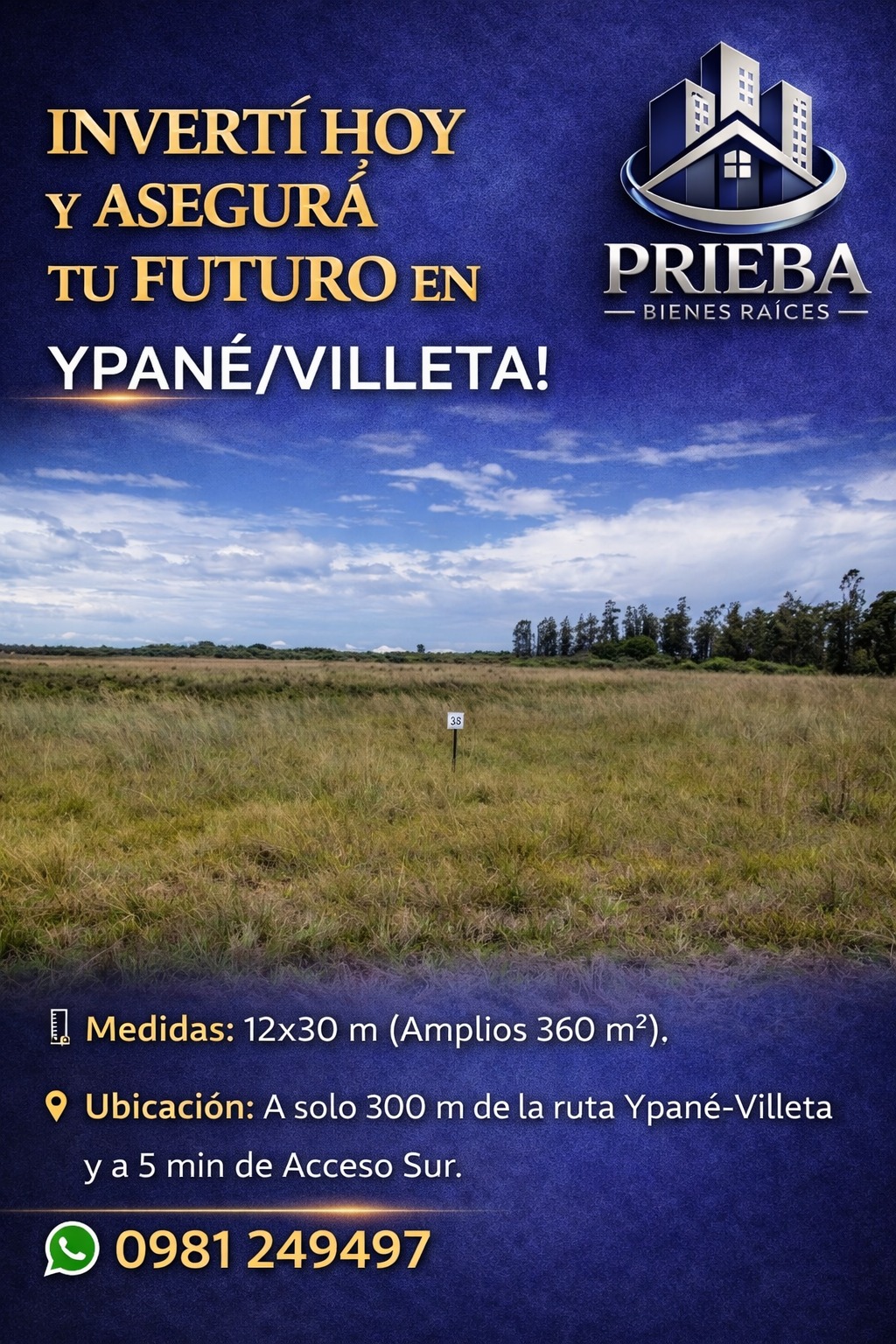 NVERTÍ HOY Y ASEGURÁ TU FUTURO EN YPANÉ/VILLETA!