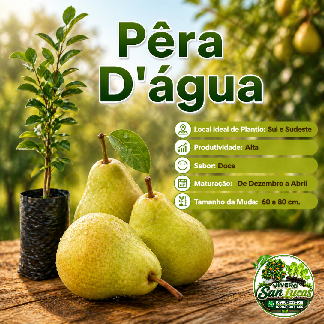 Pera D’Agua – Planta Frutal de Alta Producción