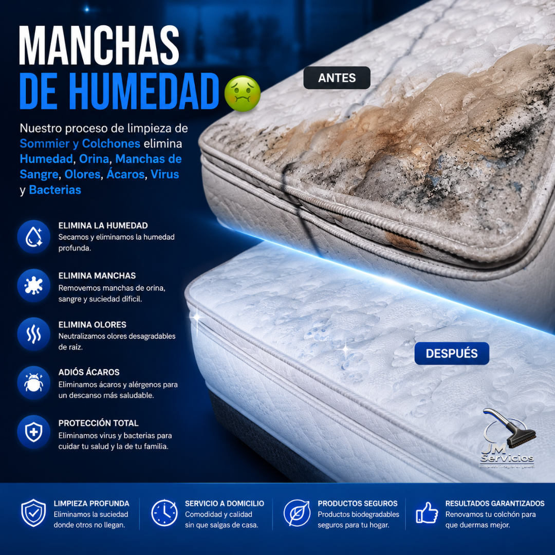 Eliminación de Manchas de Humedad en Colchones