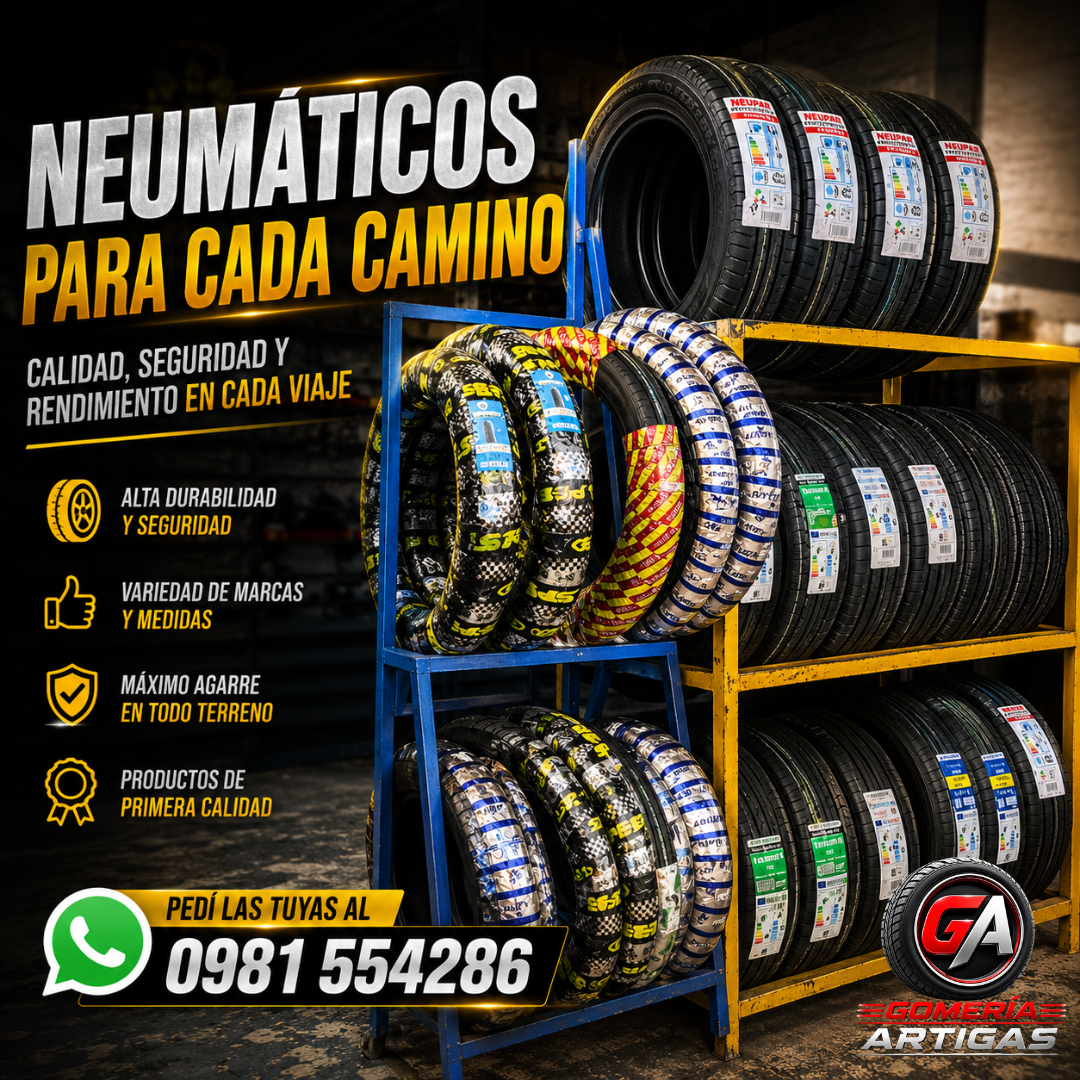 Neumáticos para Todo Tipo de Vehículos